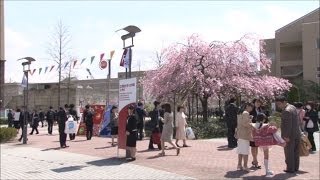 2014年度 立命館大学・大学院入学式びわこ・くさつキャンパス [upl. by Sousa656]