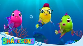 Fishes On The Reef  Videos for Kids  Nursery Rhymes amp Kids Songs  The Sharksons [upl. by Nic729]