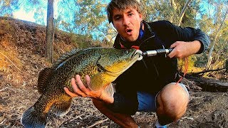 The Mighty Murray Cod Gwydir River [upl. by Aenehs430]