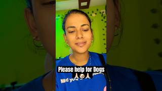 Help for￼ my stray dog🙏🏻🙏🏻please dog animals youtubeshorts helpdogs doglover ytshort [upl. by Leund899]