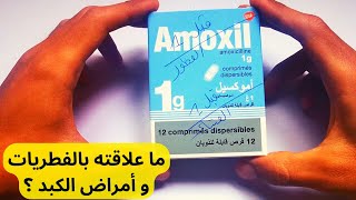 Amoxil معلومات حول دواء أموكسيل [upl. by Hanleigh]