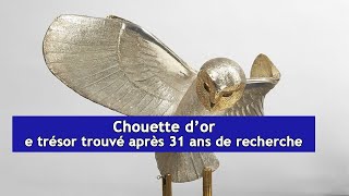 Chouette d’or  le trésor trouvé après 31 ans de recherche  DRM News Français [upl. by Ennazzus]