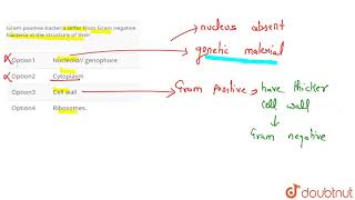 Gram positive bacteria differ from Gram negative bacteria in the structure of their [upl. by Annaeg]