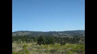 Horseback Riding at Costanoa [upl. by Ainat]