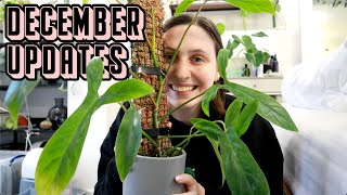 whats going on with my plants this December 🪴 Plantmas Day 14 [upl. by Agon596]