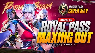 C6S16 A5 Royal Pass Maxing Out  5 RP Giveaway  🔥 PUBG MOBILE 🔥 [upl. by Marian]