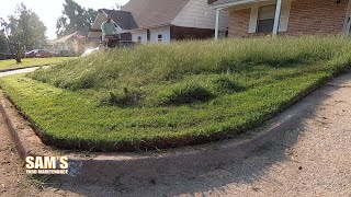 2 months no mow  Satisfying lawn mowing  Bagging WET grass  TALL grass mow  FREE [upl. by Salter919]