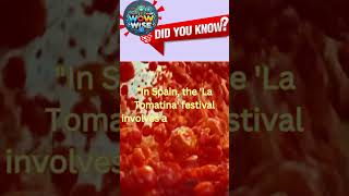 quotSpains Epic Tomato Fight La Tomatina Festivalquot [upl. by Elder]