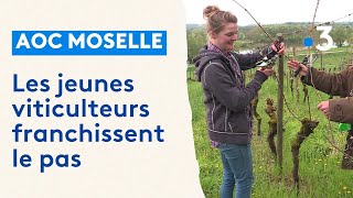 AOC Moselle  de jeunes viticulteurs sinstallent [upl. by Churchill]