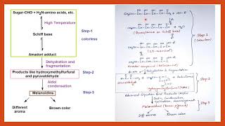 Maillard Reaction  Food Chemistry  Food Safety Officer  CFSO  Food technology [upl. by Etteoj527]