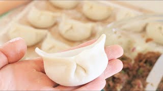 How to Make Chinese Dumplings From Scratch [upl. by Kiona900]