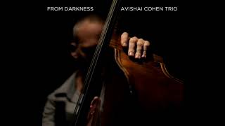 Avishai Cohen  Abie [upl. by Hulburt248]