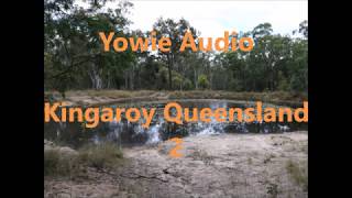 Yowie Audio Kingaroy Queensland 2 [upl. by Inirt866]