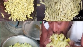 Farming silkworm pure local method viral youtube foryou fyp [upl. by Strain]