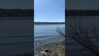 sammamish lakesammamish lake washington washingtonstate [upl. by Nirehtak940]