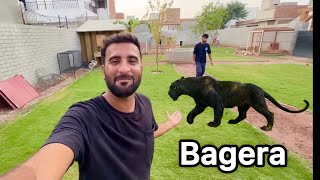 Finely Bagera aa Gya New Mini Zoo My Turab Surprise [upl. by Thornie]