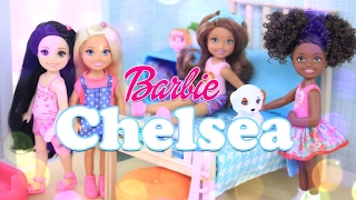 Barbie Chelsea Dolls  Doll Review  4K [upl. by Simons]