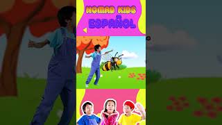 Doctor al Rescate  Canciones infantiles  bermudashorts [upl. by Nirag607]