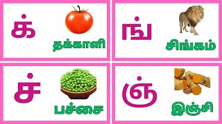 மெய் எழுத்துக்கள்  mei eluthukkal in tamil  lettters kidswithfunlearning [upl. by Aronoff]