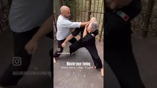 WhatsApp Video 2024 10 01 at 16 50 09 martialarts kungfu karate mma combat silat pencaksilat [upl. by Aicened]