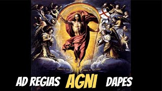 CATHOLIC HYMN «Ad regias Agni dapes Alter tonus»  Gregorian Chant  Easter Time [upl. by Kirenoj]