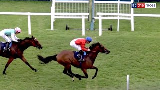 Wellbred debutant FORMAL strikes first time out at Newbury [upl. by Osmo]