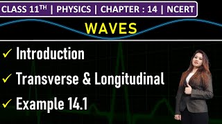 Class 11th Physics  Waves  Transverse amp Longitudinal Waves  Example 141  Chapter 14  NCERT [upl. by Pedro]