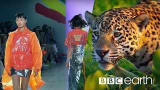 Can Fashion Be Sustainable  BBC Earth [upl. by Yerocal]