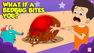 How Bed Bugs Bite  Bed Bugs How to Get Rid of Them  Deadliest Insects  The Dr Binocs Show [upl. by Fast263]