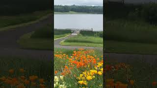 So beautiful here  Enniskillen Northen Ireland travel traveldestinations trending video [upl. by Llirrem]