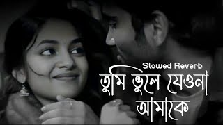 Tumi Vule Jeona Amake  তুমি ভুলে যেওনা আমাকে  Habib Wahid  Slowed Reverb [upl. by Anead]