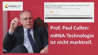 Prof Paul Cullen quotZurück auf den Prüfstandquot [upl. by Alpert9]