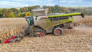 Claas Lexion 8900 mit Geringhoff Horizon Star II bei der Maisernte 2024  Corn Harvest 24 [upl. by Dranyam]