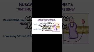 Atropine  Muscarinic competitive receptor antagonist  ANS pharmacology [upl. by Petrine27]