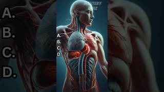 Anatomy and Physiology amp Medical quiz 3 shorts biology quiz [upl. by Merdith]