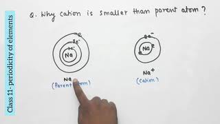 Why cation is smaller that parent atom Class 11 periodic table [upl. by Eibbil477]