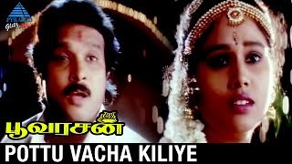 Poovarasan Movie Songs  Pottu Vacha Kiliye Video Song  Karthik  Rachana  Pyramid Glitz Music [upl. by Joannes]