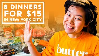 I Made 8 Dinners For Two People On A 15 Budget In NYC [upl. by Burk278]