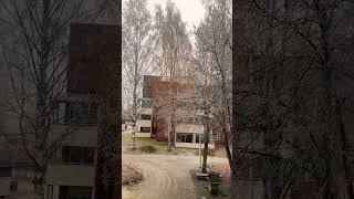 FIRST SNOWFALL IN FINLAND Joensuu winter in Finland finland4k finlandworkvisa finlandtourism [upl. by Allimac]