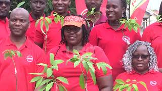 KCCA AND ABSA PARTNER AND PLANT 30000 TREES IN KAMPALA [upl. by Garald411]