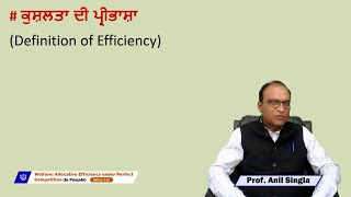 Welfare Allocative Efficiency under Perfect Competition In Punjabi [upl. by Saylor54]