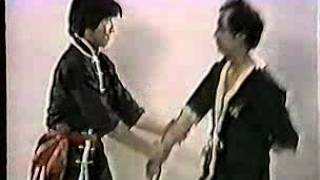 Wing Tsun Chun Leung Ting Authentic Wing Tsun 2 [upl. by Bradshaw]