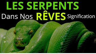 Les SERPENTS dans nos RÊVES Signification Spirituelle [upl. by Burnsed]