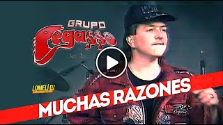 1991  Muchas Razones  Grupo Pegasso del Pollo Estevan  en vivo [upl. by Patt]