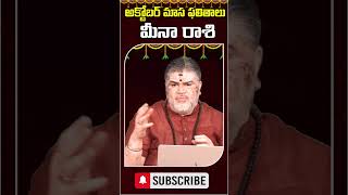 🔥Meena Rashi  october Monthly Horoscope  Pisces sign  మీనా రాశి octoberhoroscope [upl. by Winfield641]