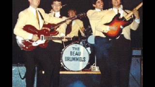 BEAU BRUMMELS Interview  Ray Michaels and Del Riverswmv [upl. by Branham]