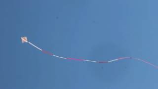 Lozenge Kite [upl. by Eannej]