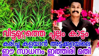 മുറ്റത്തെ പുല്ലും കാടും ഉണക്കാൻ അടുക്കളയിലെ ഈ സാധനം കയ്യിലുണ്ടായൽ മതിget rid off weedsപുല്ലു ഉണക്ക [upl. by Ardek]