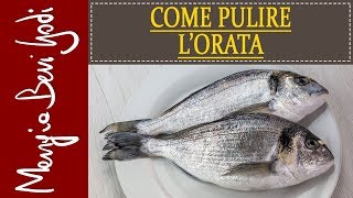 Come pulire lorata [upl. by Yetah74]