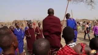 Maasai Tribe Dancing and Singing in Tanzania  Safari365 [upl. by Nuavahs]